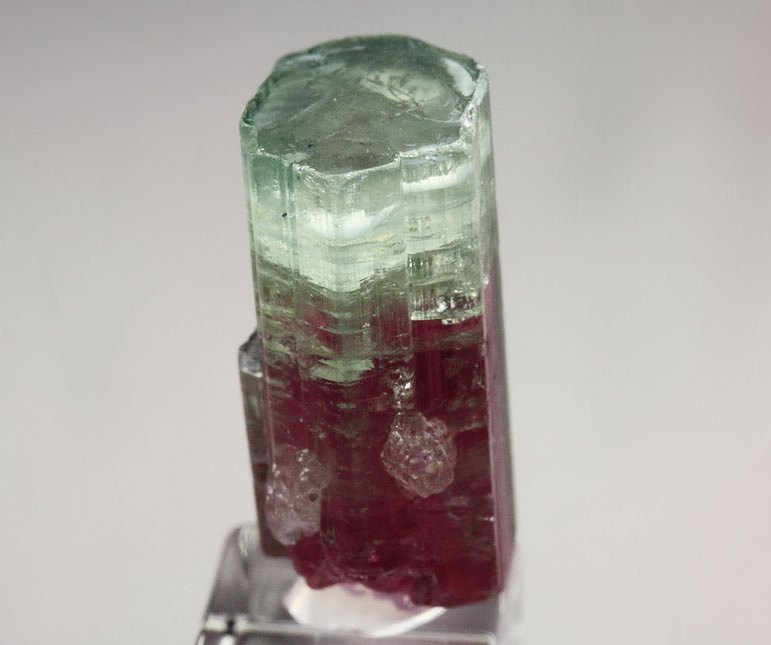 gem TOURMALINE var. ELBAITE bi-color