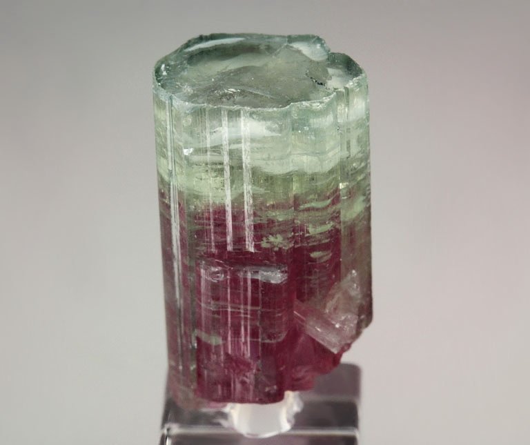 gem TOURMALINE var. ELBAITE bi-color