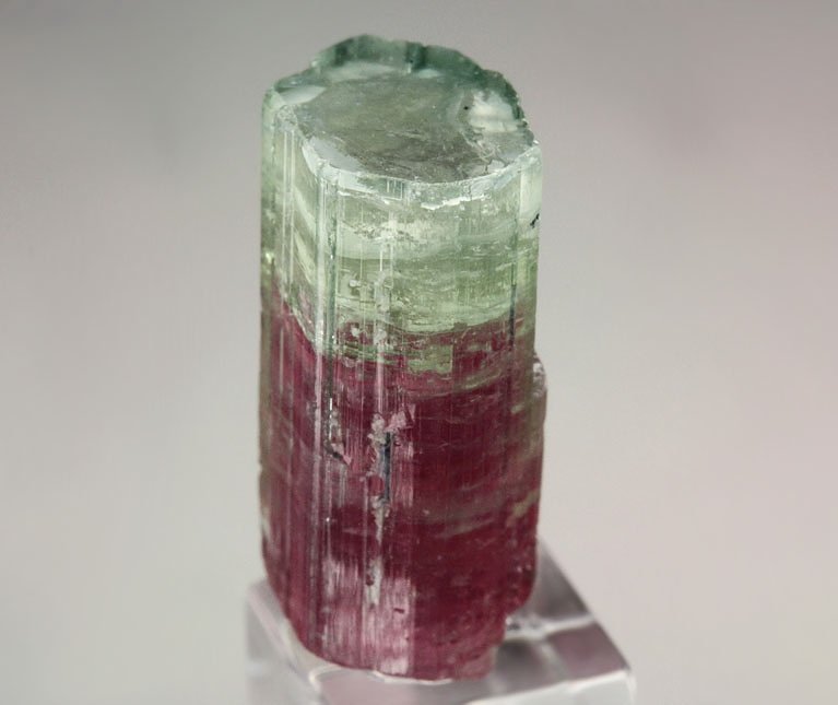 gem TOURMALINE var. ELBAITE bi-color