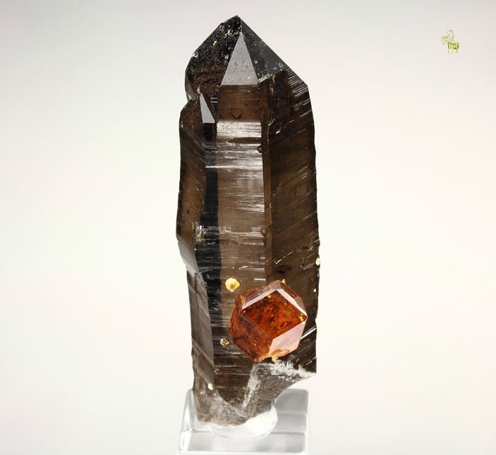 gem GARNET var. SPESSARTINE, QUARTZ var. SMOKY