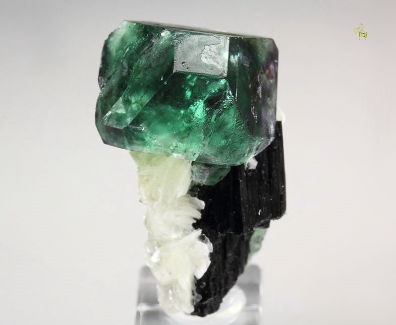 FLUORITE, MUSCOVITE, TOURMALINE var. SCHORL