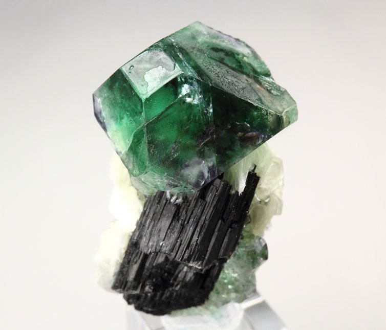 FLUORITE, MUSCOVITE, TOURMALINE var. SCHORL