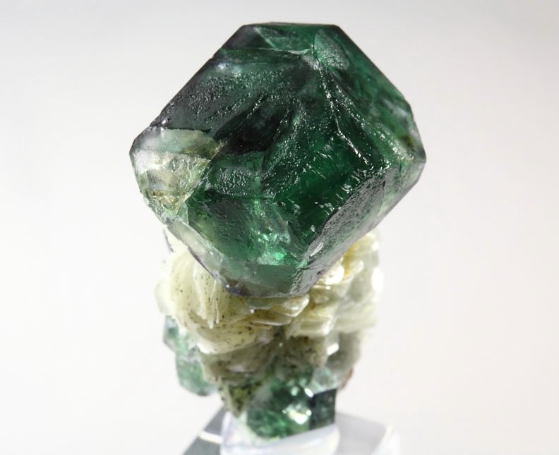 FLUORITE, MUSCOVITE, TOURMALINE var. SCHORL