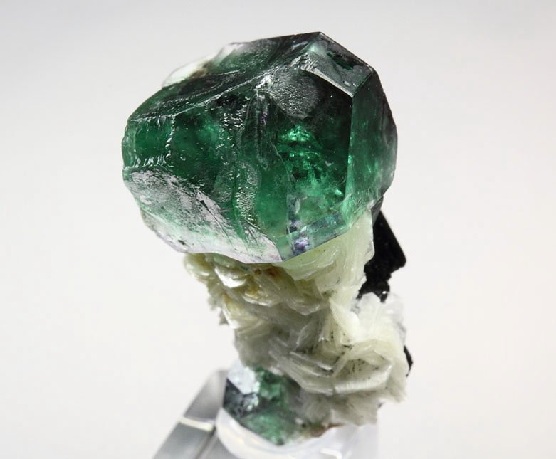 FLUORITE, MUSCOVITE, TOURMALINE var. SCHORL