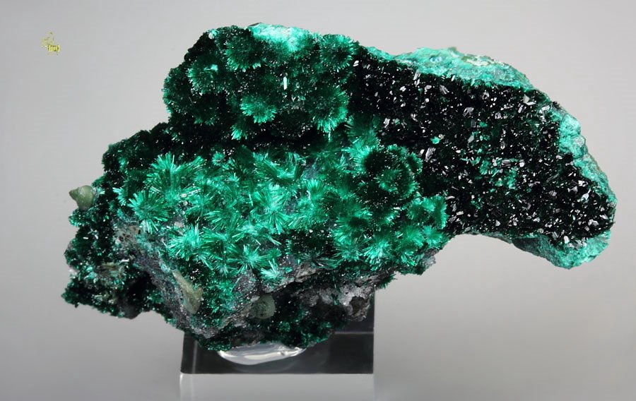 BROCHANTITE