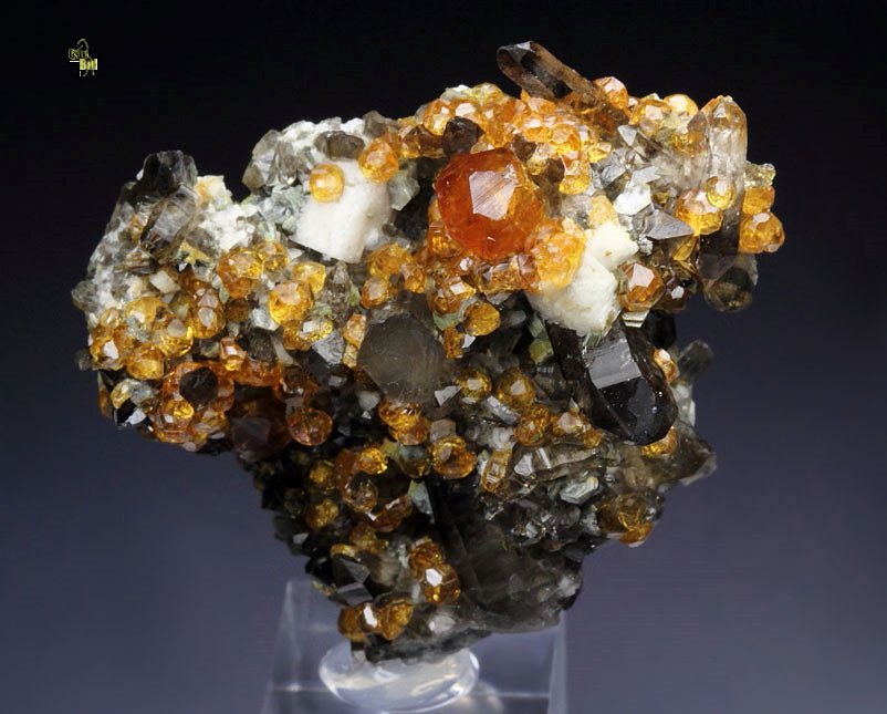 gem GARNET var. SPESSARTINE, QUARTZ var. SMOKY, MICROCLINE, MUSCOVITE