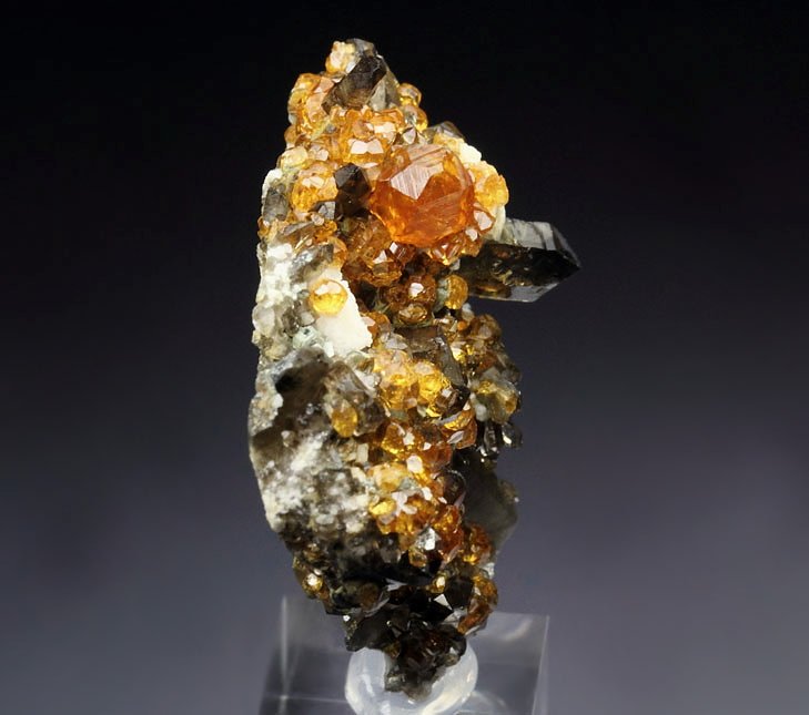 gem GARNET var. SPESSARTINE, QUARTZ var. SMOKY, MICROCLINE, MUSCOVITE