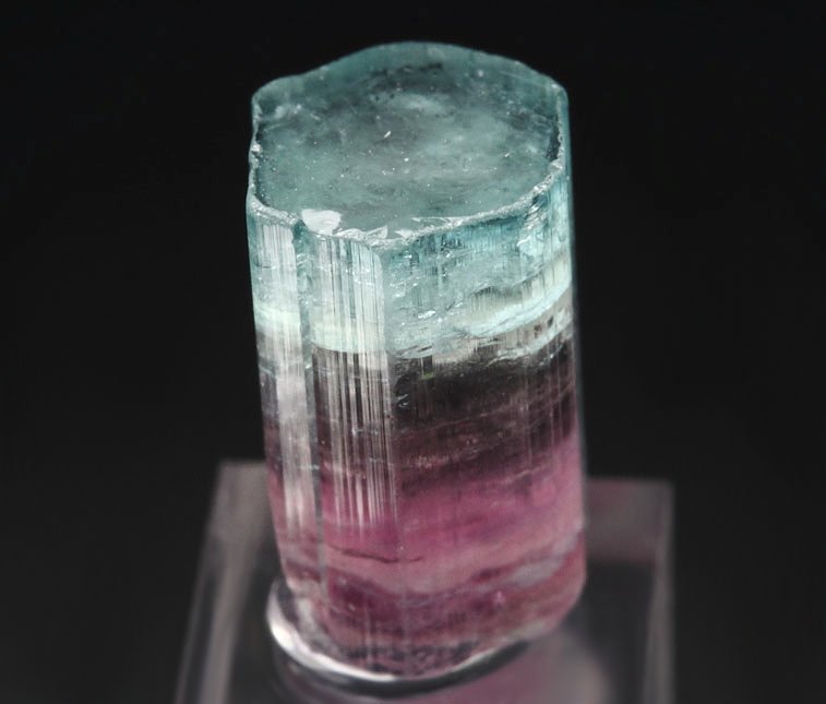 gem TOURMALINE var. ELBAITE bi-color