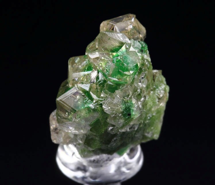 gem GARNET var. GROSSULAR with GREEN CHROMIAN PHANTOMS