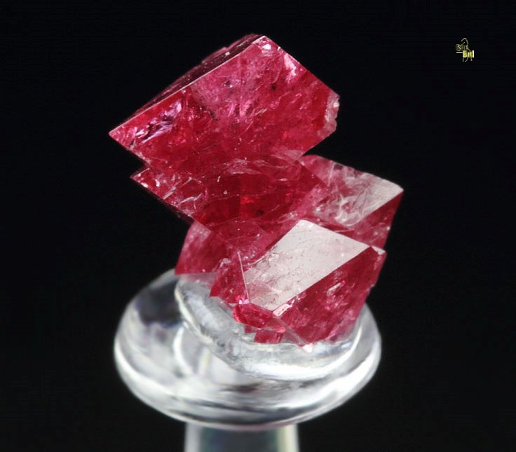 gemmy SPINEL