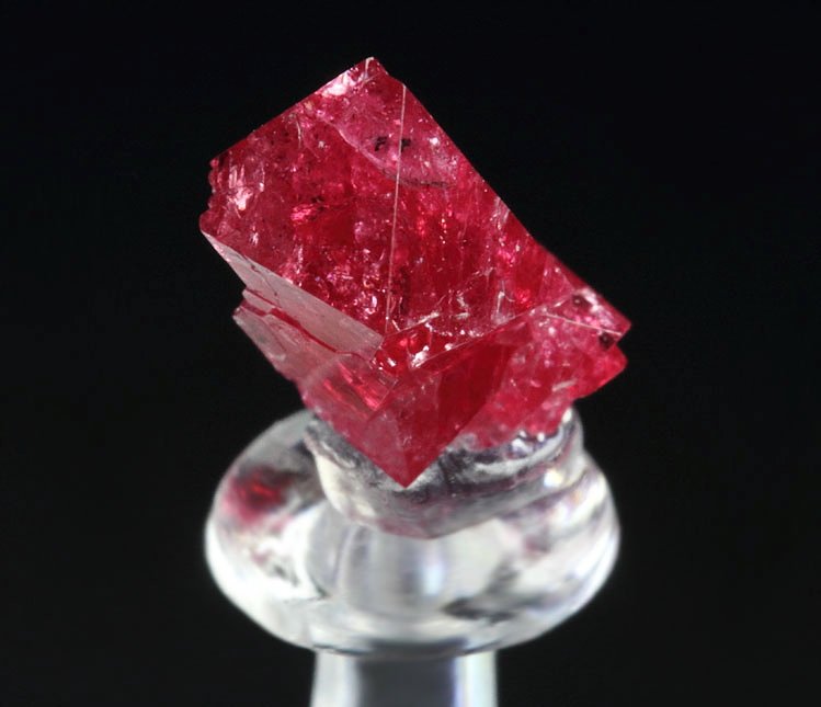 gemmy SPINEL