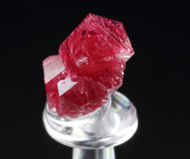 gemmy SPINEL