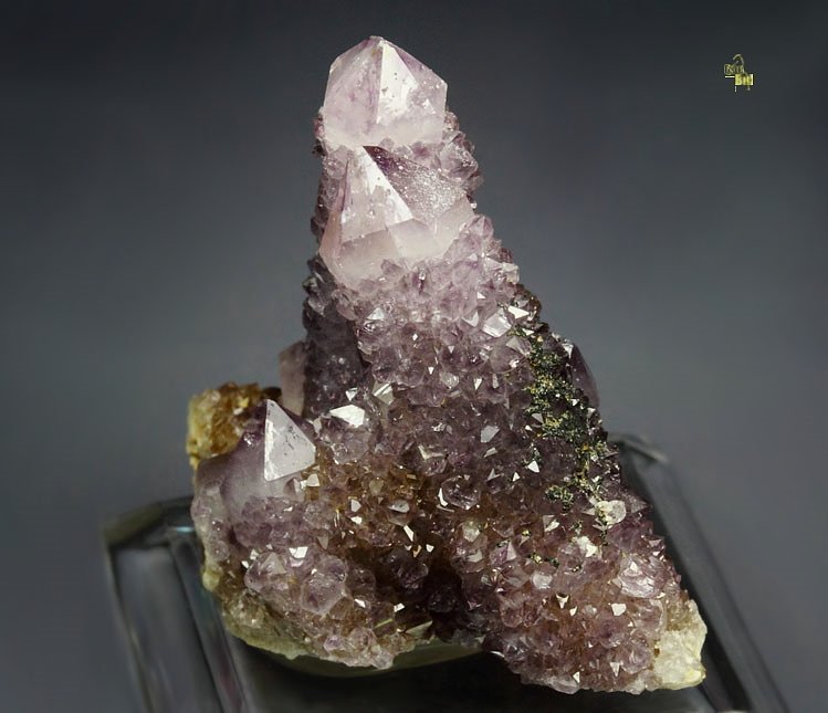 cactus QUARTZ var. AMETHYST