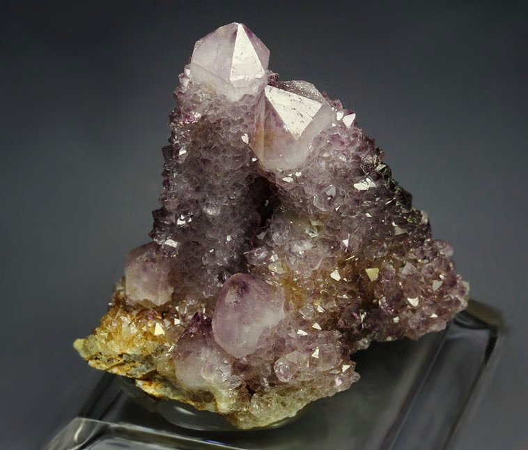 cactus QUARTZ var. AMETHYST