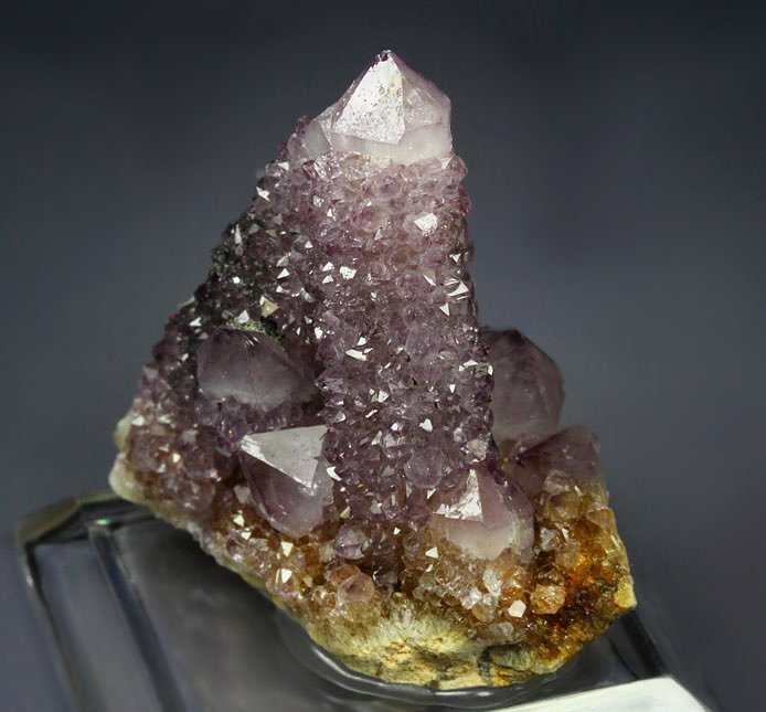 cactus QUARTZ var. AMETHYST