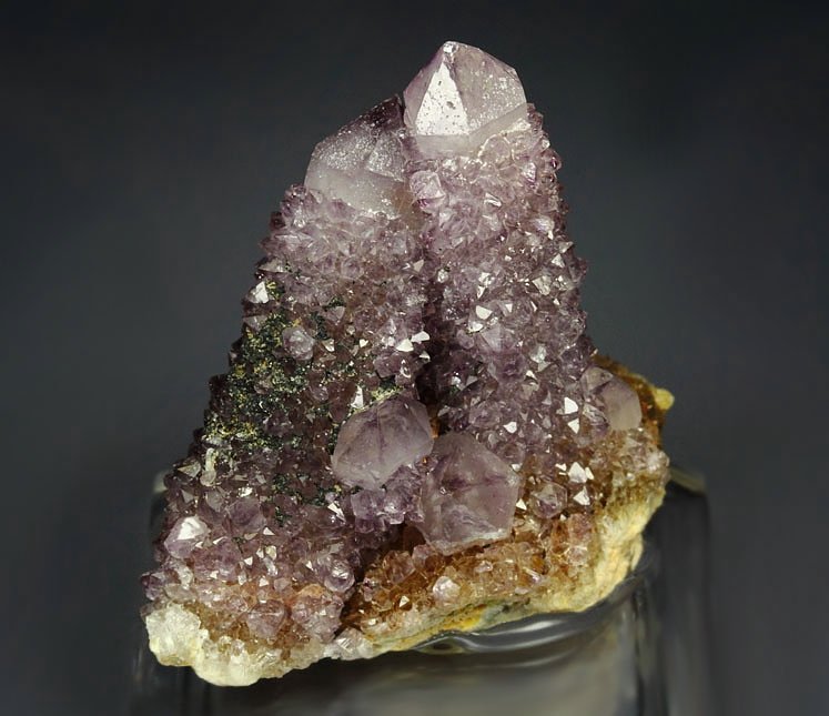 cactus QUARTZ var. AMETHYST