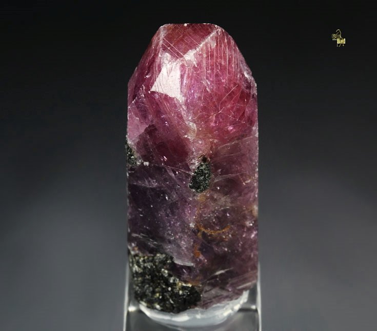 CORUNDUM var. RUBY, MUSCOVITE