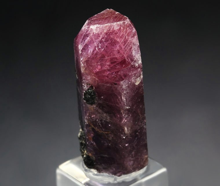 CORUNDUM var. RUBY, MUSCOVITE