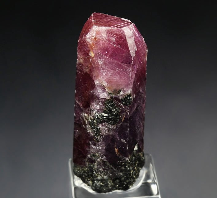 CORUNDUM var. RUBY, MUSCOVITE