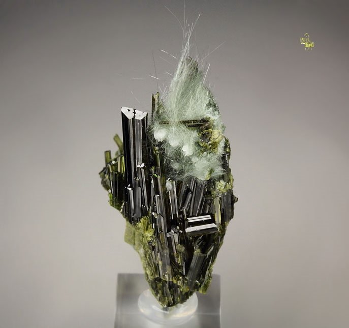 EPIDOTE, AMPHIBOLE GROUP var. BYSSOLITE, ALBITE