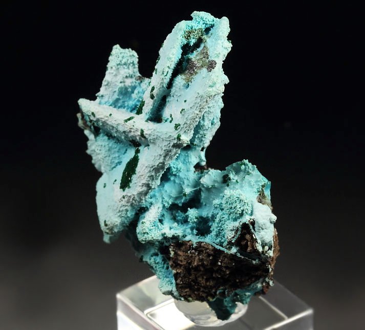 AJOITE pseudomorph after AZURITE, after MALACHITE