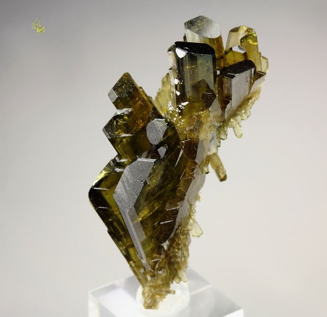 faden EPIDOTE