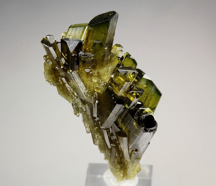 faden EPIDOTE