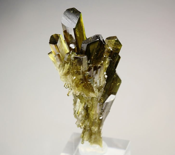 faden EPIDOTE