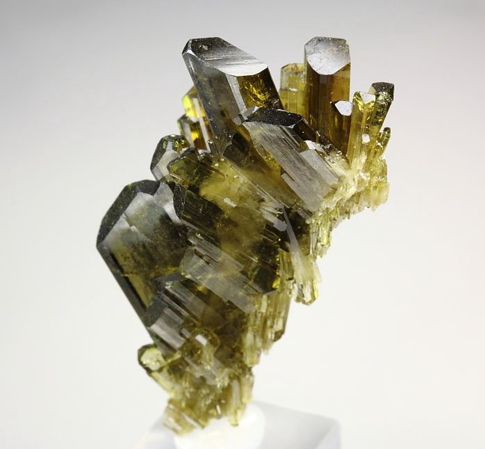 faden EPIDOTE