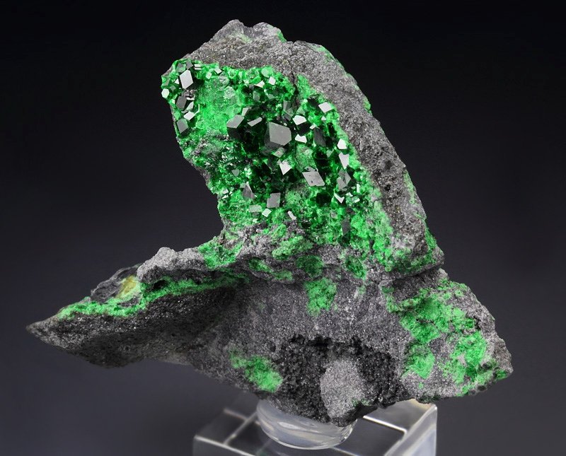 gemmy GARNET var. UVAROVITE