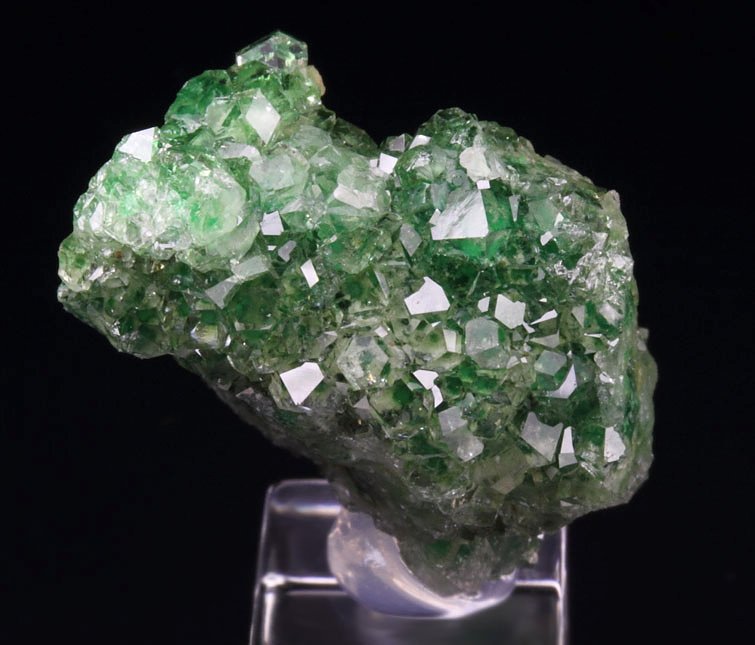 gem GARNET var. GROSSULAR with GREEN CHROMIAN PHANTOMS