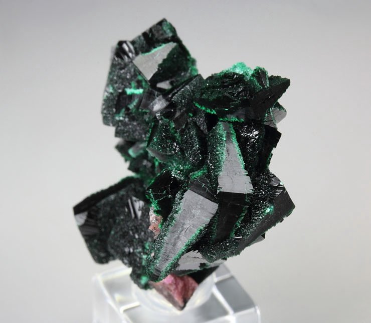 crystallized MALACHITE