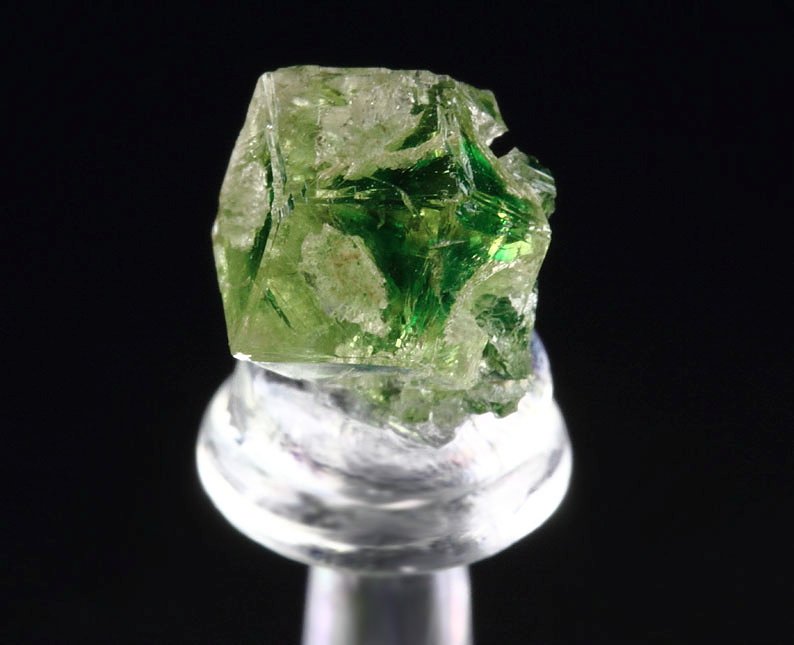 gem GARNET var. GROSSULAR with GREEN CHROMIAN PHANTOM