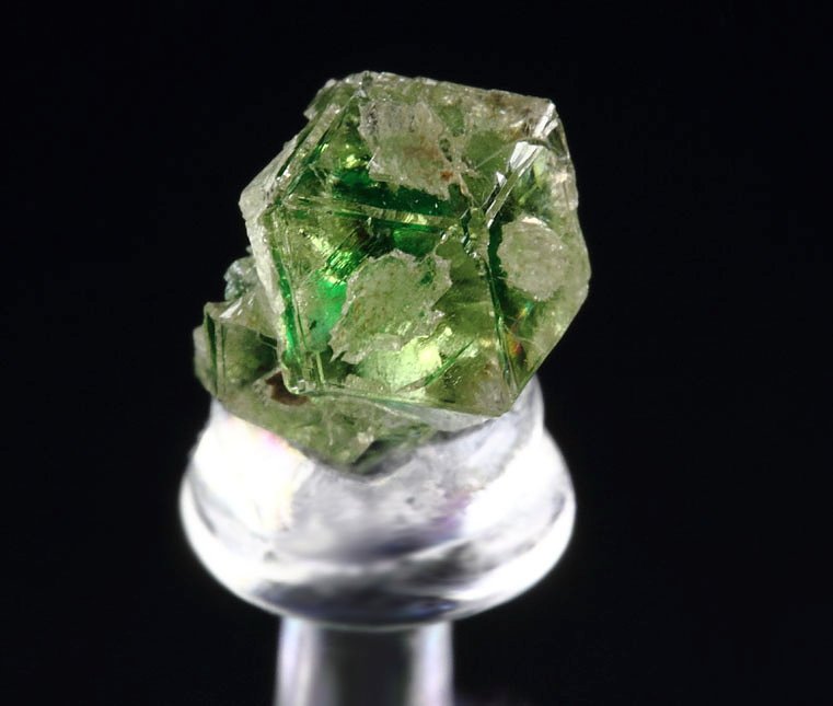 gem GARNET var. GROSSULAR with GREEN CHROMIAN PHANTOM