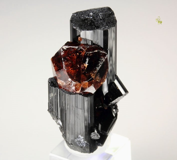 gem GARNET var. SPESSARTINE, TOURMALINE var. SCHORL