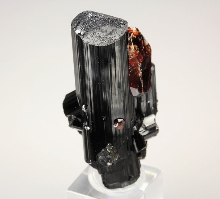 gem GARNET var. SPESSARTINE, TOURMALINE var. SCHORL