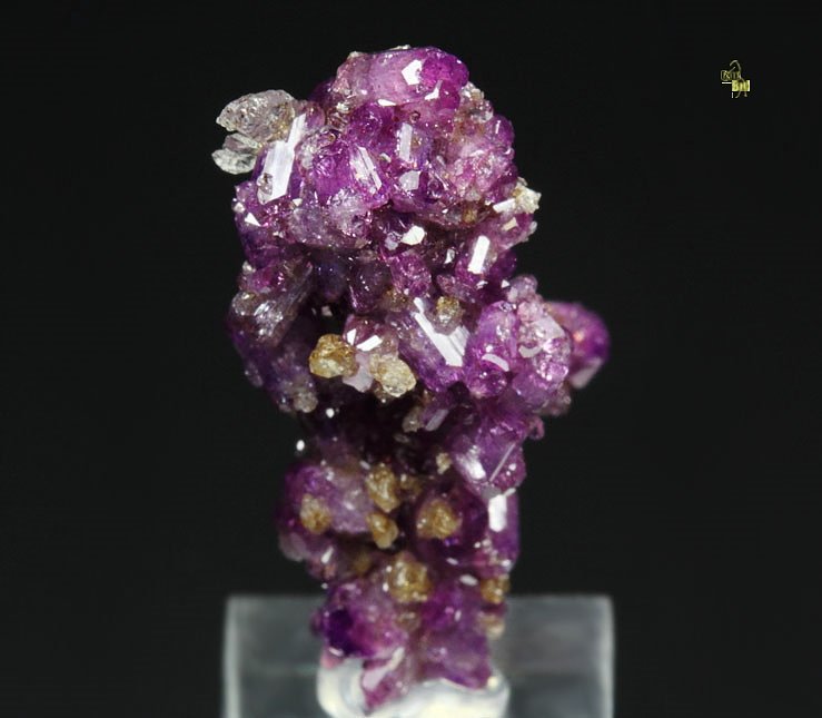 VESUVIANITE var. MANGANOAN, GARNET var. GROSSULAR