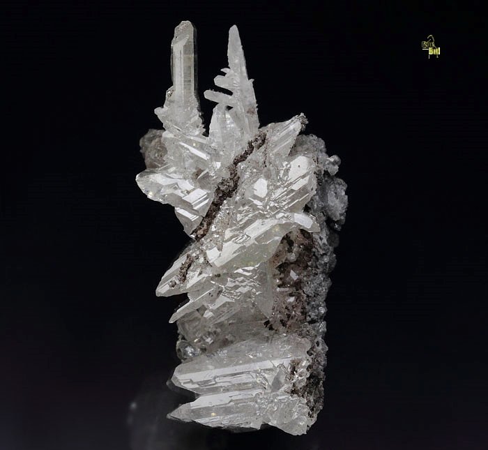 reticulated CERUSSITE