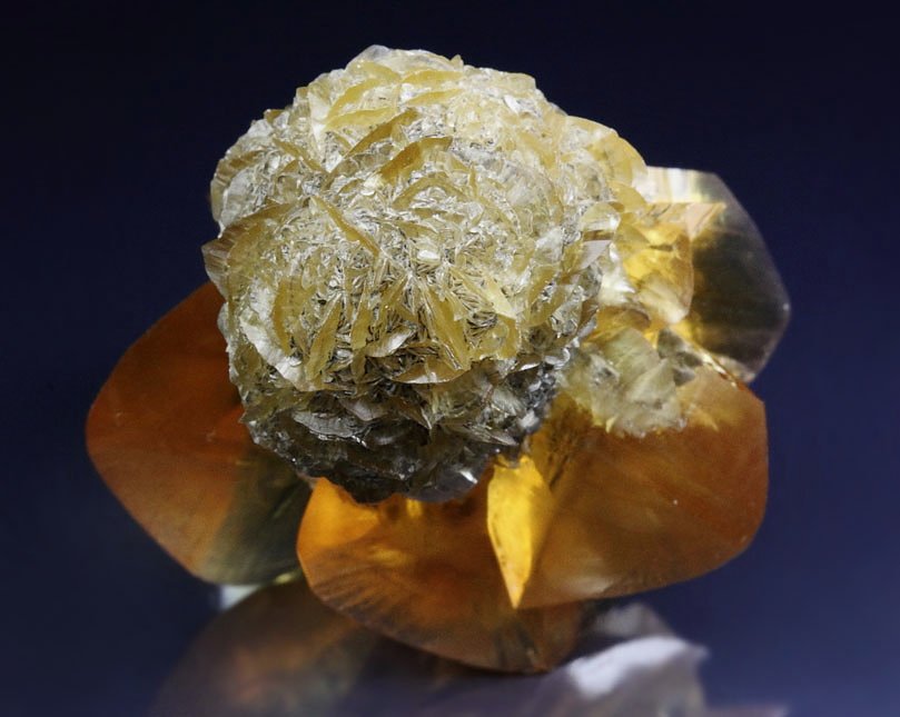 GYPSUM floater