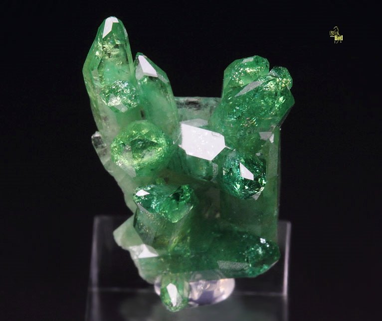 gem VESUVIANITE var. CHROMIAN