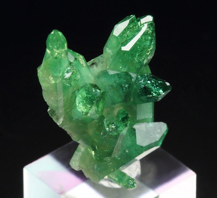 gem VESUVIANITE var. CHROMIAN