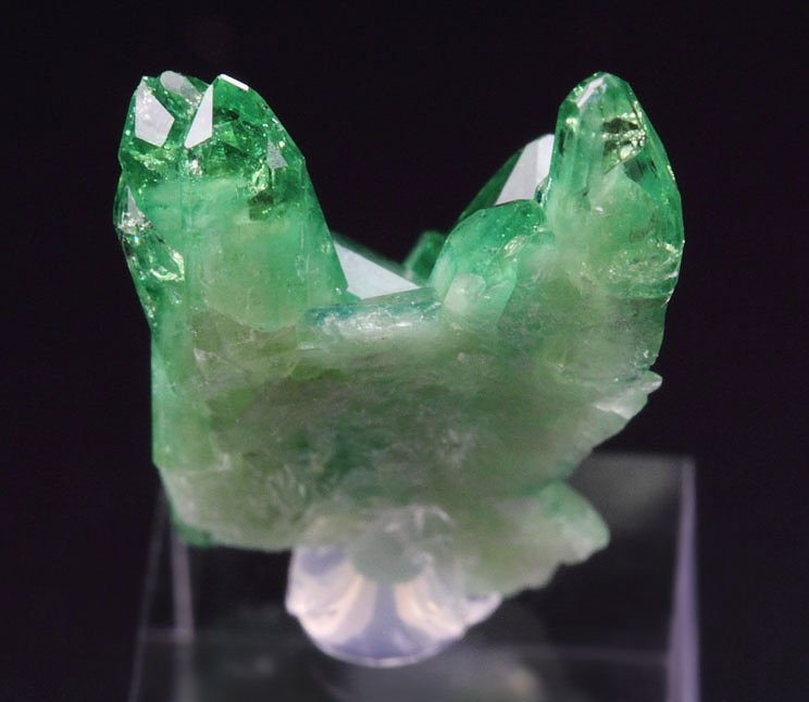 gem VESUVIANITE var. CHROMIAN