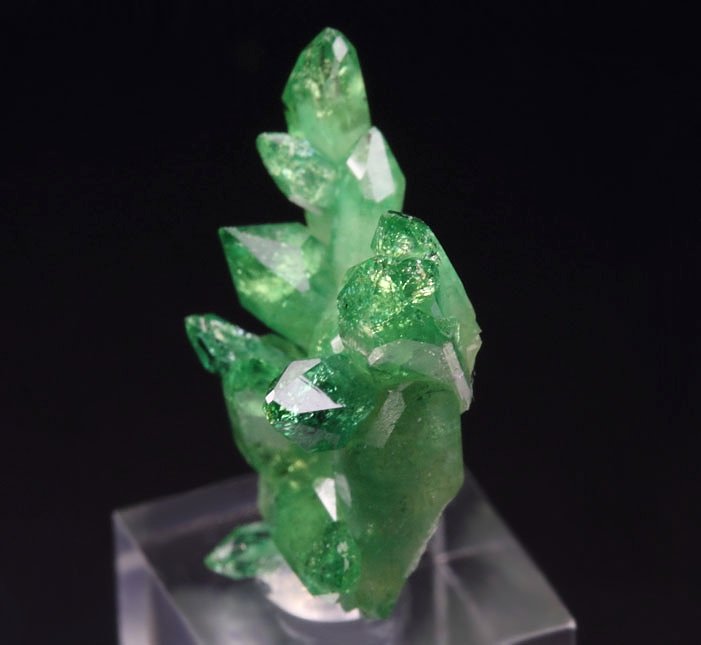 gem VESUVIANITE var. CHROMIAN