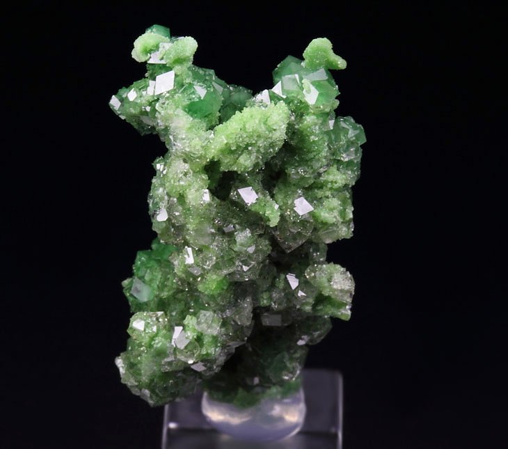 GARNET var. GROSSULAR var. CHROMIAN, DIOPSIDE, CHROMITE