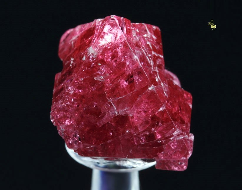 gemmy SPINEL