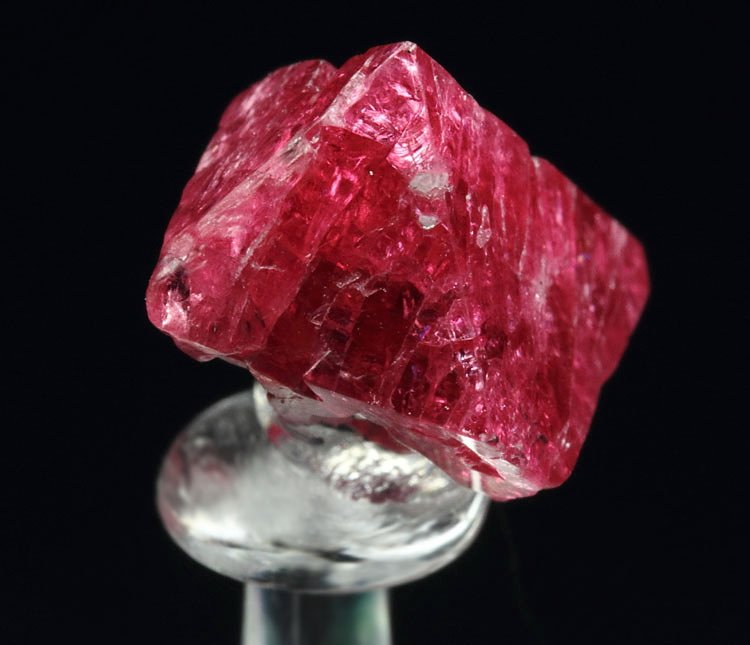 gemmy SPINEL