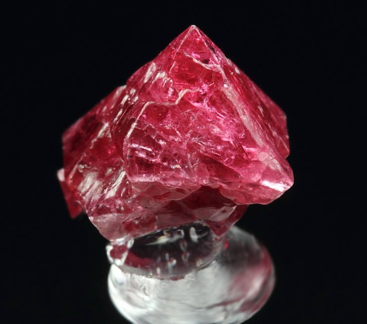 gemmy SPINEL