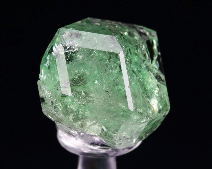 gem GARNET var. GROSSULAR var. TSAVORITE