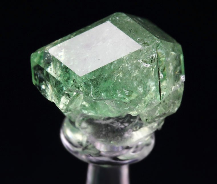 gem GARNET var. GROSSULAR var. TSAVORITE