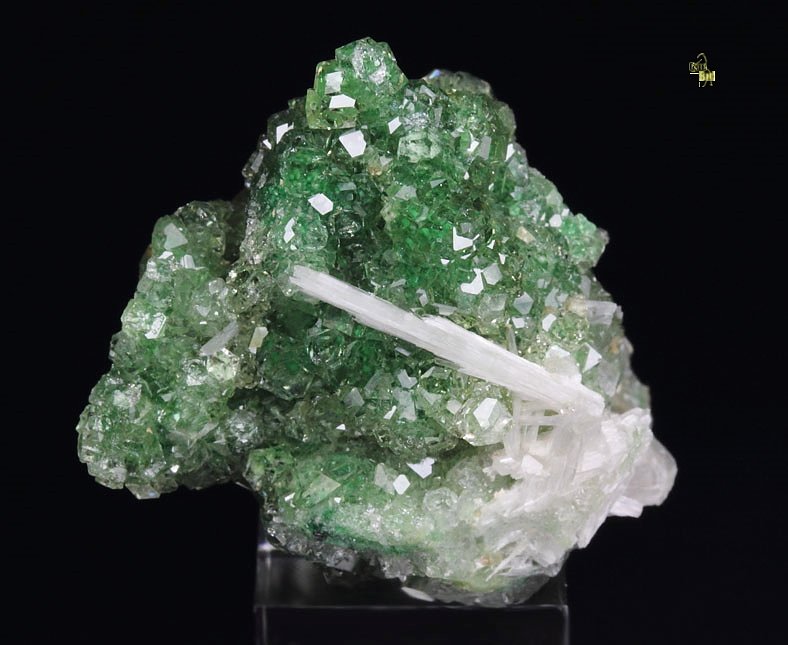 gem GARNET var. GROSSULAR with GREEN CHROMIAN PHANTOMS, PECTOLITE